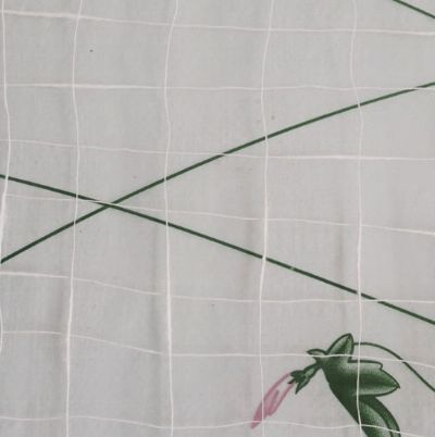 點(diǎn)擊查看詳細(xì)信息<br>標(biāo)題：純棉竹節(jié)紗 閱讀次數(shù)：2366