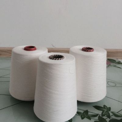 點擊查看詳細(xì)信息<br>標(biāo)題：賽絡(luò)紡人棉紗 閱讀次數(shù)：2518