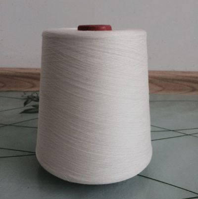 點擊查看詳細(xì)信息<br>標(biāo)題：緊密賽絡(luò)紡人棉紗 閱讀次數(shù)：2891