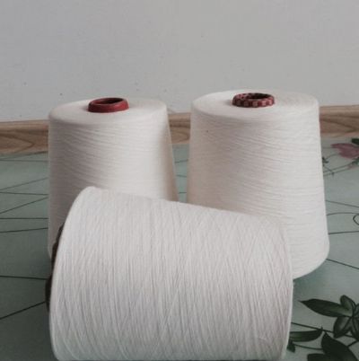 點擊查看詳細(xì)信息<br>標(biāo)題：環(huán)錠紡人棉紗 閱讀次數(shù)：2487