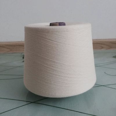 點擊查看詳細信息<br>標題：精梳純棉紗 閱讀次數(shù)：2613
