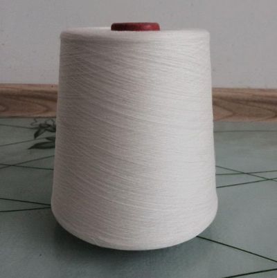 點(diǎn)擊查看詳細(xì)信息<br>標(biāo)題：絹絲粘膠混紡紗 閱讀次數(shù)：3539