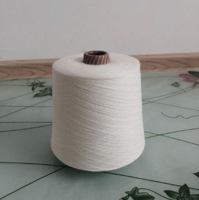 點(diǎn)擊查看詳細(xì)信息<br>標(biāo)題：膨體腈綸紗 閱讀次數(shù)：2655