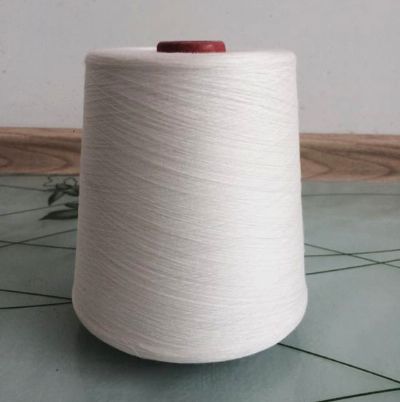 點(diǎn)擊查看詳細(xì)信息<br>標(biāo)題：緊密紡純棉紗 閱讀次數(shù)：11762