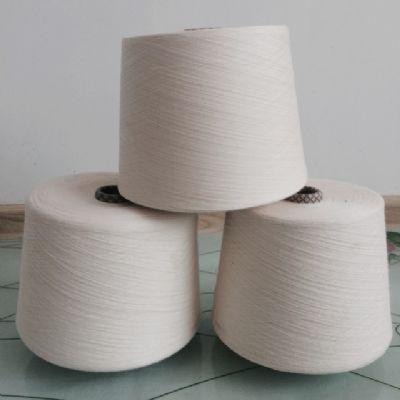 點(diǎn)擊查看詳細(xì)信息<br>標(biāo)題：棉粘混紡紗 閱讀次數(shù)：4513