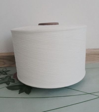 點(diǎn)擊查看詳細(xì)信息<br>標(biāo)題：噴氣紡滌綸紗 閱讀次數(shù)：9522