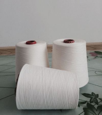 點(diǎn)擊查看詳細(xì)信息<br>標(biāo)題：環(huán)錠紡滌綸紗 閱讀次數(shù)：9566