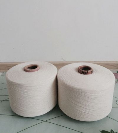 點(diǎn)擊查看詳細(xì)信息<br>標(biāo)題：氣流紡滌棉紗 閱讀次數(shù)：9804