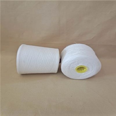 點擊查看詳細信息<br>標題：純棉合股紗 閱讀次數(shù)：859
