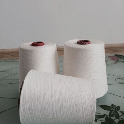 點(diǎn)擊查看詳細(xì)信息<br>標(biāo)題：緊密賽絡(luò)紡棉粘紗 閱讀次數(shù)：1275